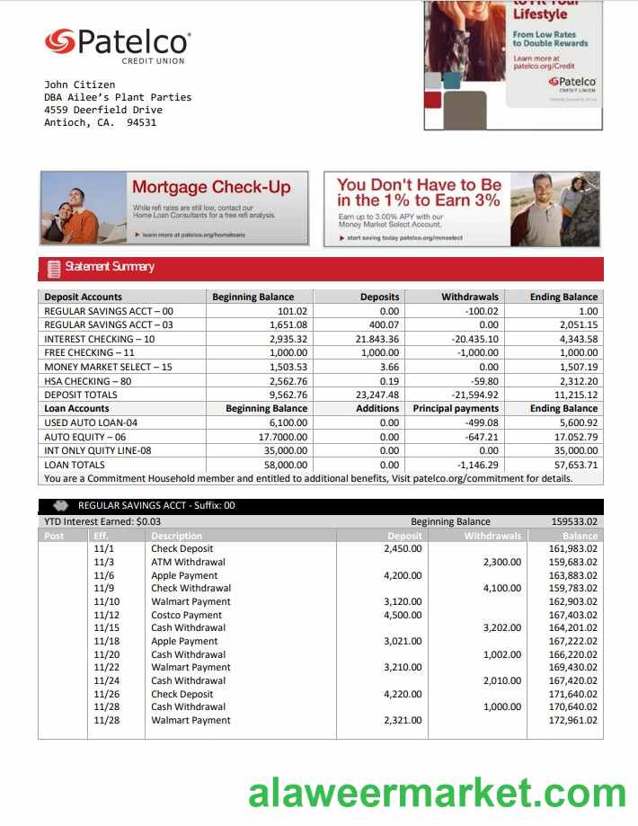USA California Patelco Credit Union bank statement template in Word and PDF format